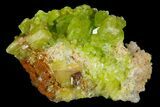 Vibrant Green Pyromorphite Crystal Cluster - China #177180-1
